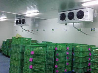 蔬菜水果批发建多大的保鲜冷库比较合适？？？？？？ 
